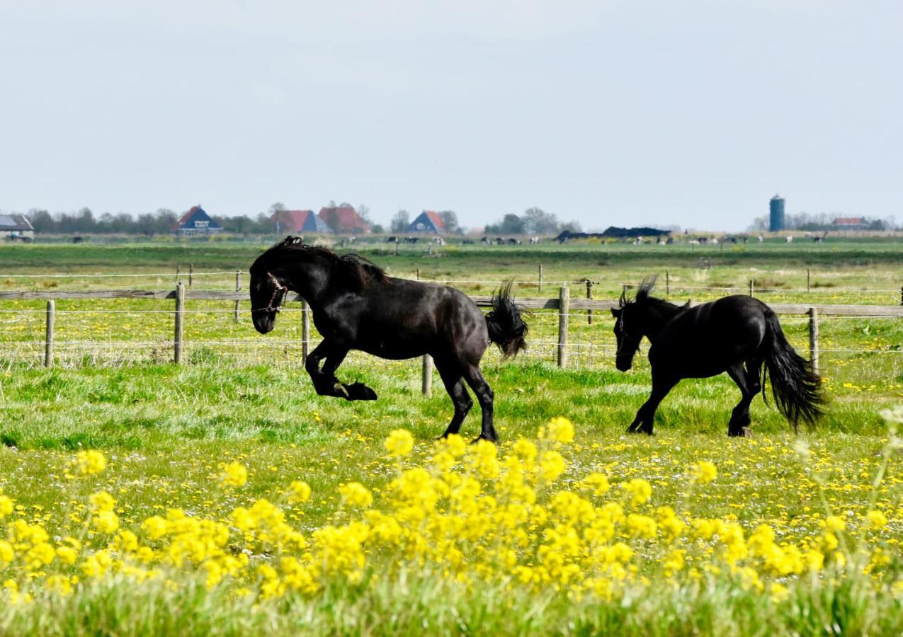 Het Melkhuis Op Prachtig Landgoed Koepeltjesplaats Gaast 외부 사진