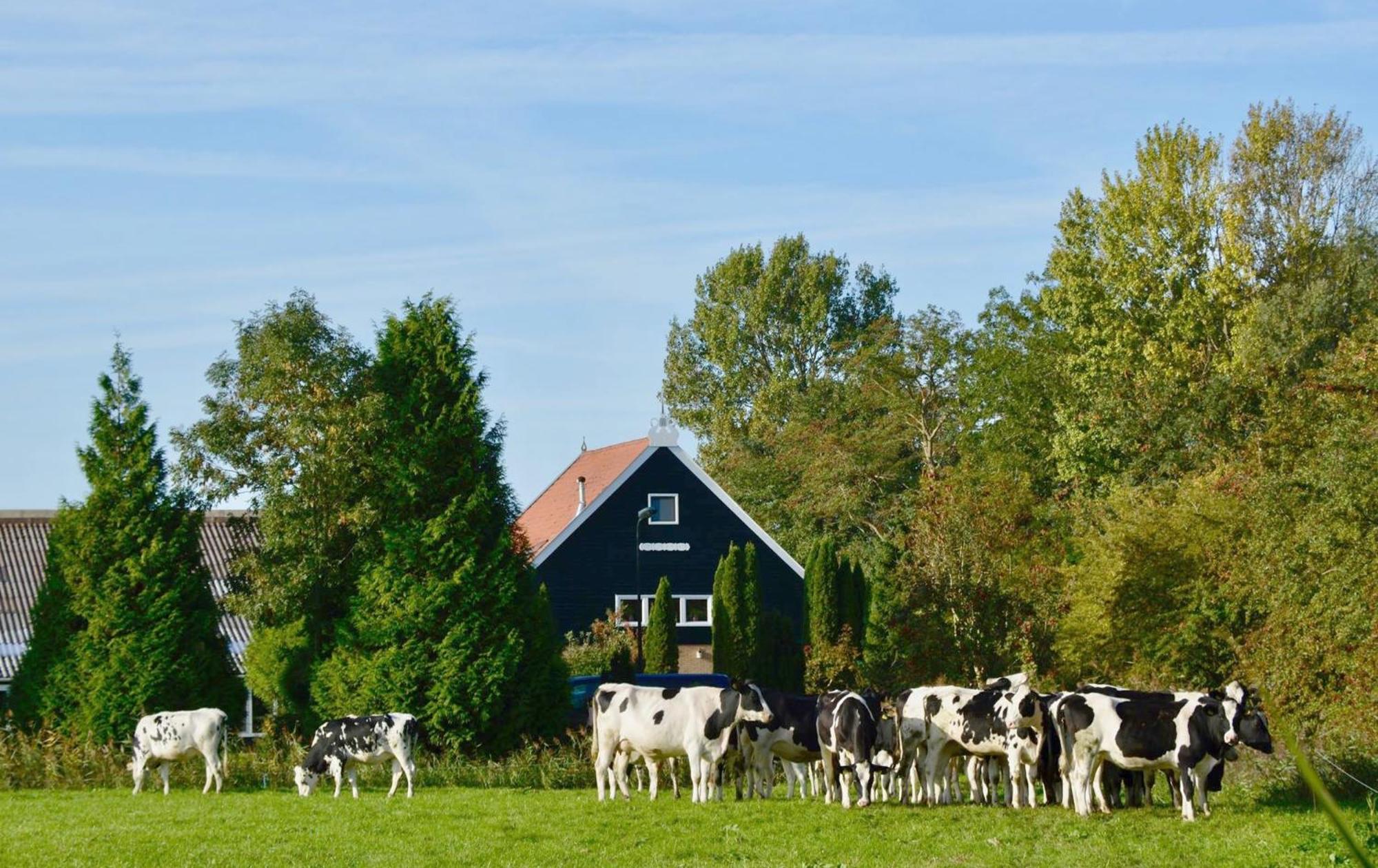 Het Melkhuis Op Prachtig Landgoed Koepeltjesplaats Gaast 외부 사진